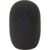 104403 3055 reporter mic foam