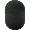 45-100 large diaphragm mic foam-single