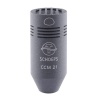 ccm21g