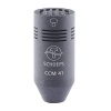 ccm41g