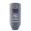 ccm4xpweb