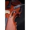 violin 20991421