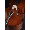 violoncello