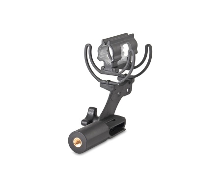 037306 invision softie lyre mount cca main