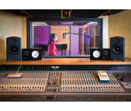 045002 studio kit usm yellow shark 2