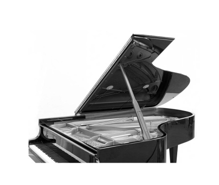 blm03c-fl gel