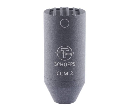 ccm2g