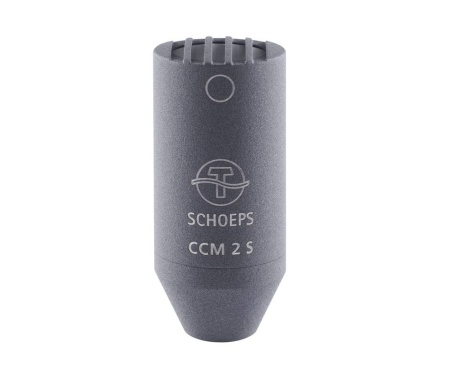 ccm2sg