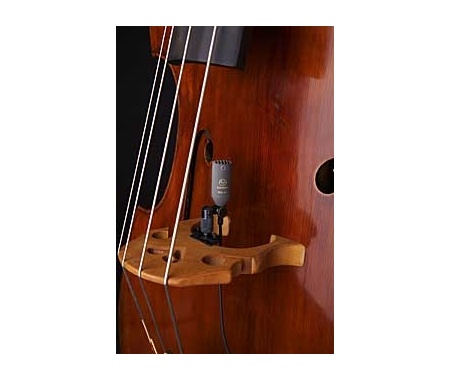 contrabass