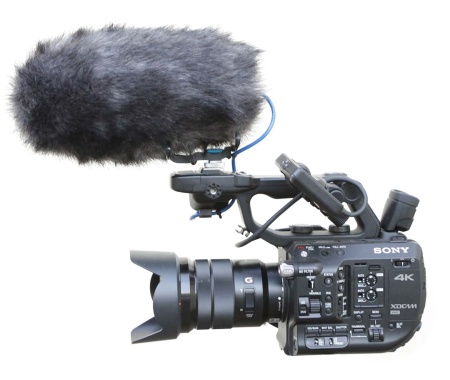 cosi-l-3