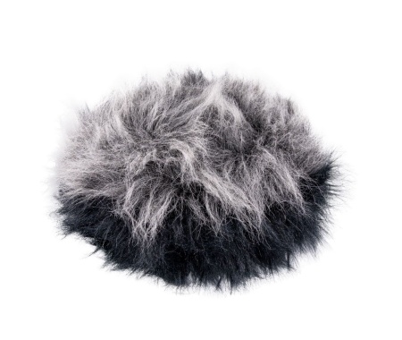 csm ortf2plus2 fur 5676d76c27
