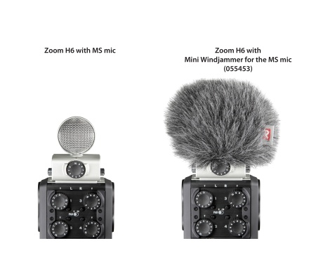 large zoom h6 ms with mwj