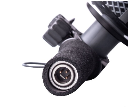 parabol-xlr-output