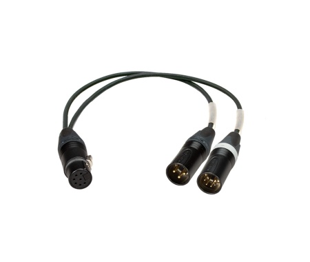 ska-dms 5-s-1024x427