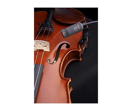 violin