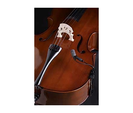 violoncello